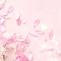 The Sensual Side of Taurus: Sexual Compatibility with Every Zodiac Match