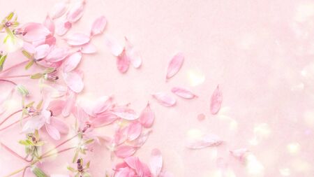 The Sensual Side of Taurus: Sexual Compatibility with Every Zodiac Match
