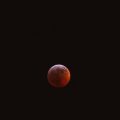 Eclipse Season Survival Guide: Navigating Change the American Way