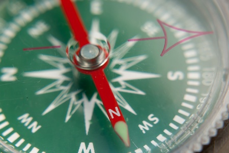How Your Zodiac Sign Influences Everyday Decision-Making in American Life