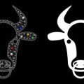 Leo Compatibility with Other Zodiac Signs: Real-Life Stories and Advice from Americans