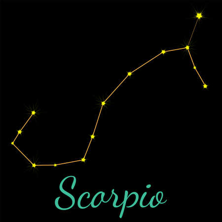 Earth Signs (Taurus, Virgo, Capricorn): Grounded Approaches to Stability and Respect