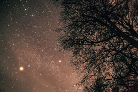 Understanding Your Birth Chart Through Tarot: An In-depth Exploration