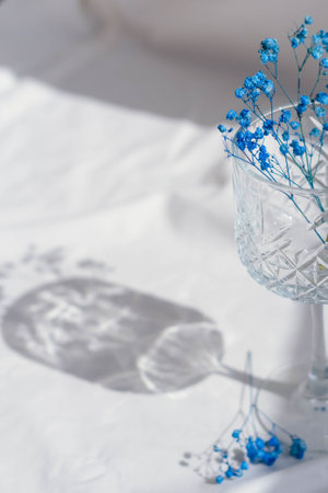 Signs Most in Tune with Lunar Energy: Harnessing the Moon’s Power for Spiritual Growth