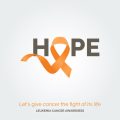 Cancer and Leo at Work: Balancing Empathy and Leadership in American Teams