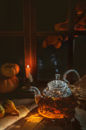 How Your Astrological Houses Can Guide Career and Life Purpose