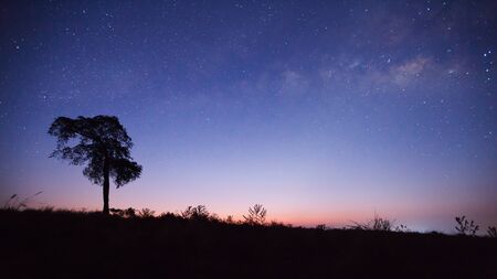 How the Full Moon This Month Will Affect Each Zodiac Sign