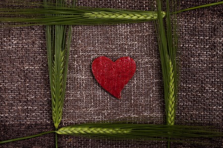 Lessons From Breakups: When Modality Mismatch Leads to Heartbreak