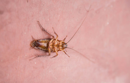 Scorpio Love Matches: Passion, Intensity, and Ideal Partners