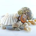 On the Road Eats: Zodiac Signs and Their Go-To Road Trip Foods in America