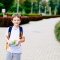 The Scorpio Child: Parenting Tips and School Life in the United States