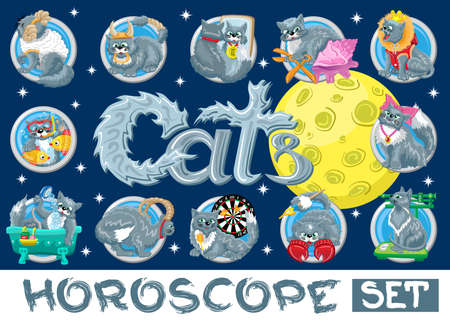 How Your Zodiac Sign Influences Your Sleep Habits in American Daily Life