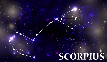 Earth Signs (Taurus, Virgo, Capricorn): Building Stability from Home