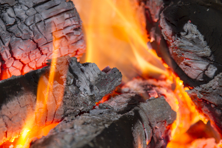 Fire Signs Compatibility: How Aries, Leo, and Sagittarius Connect in Love and Friendship