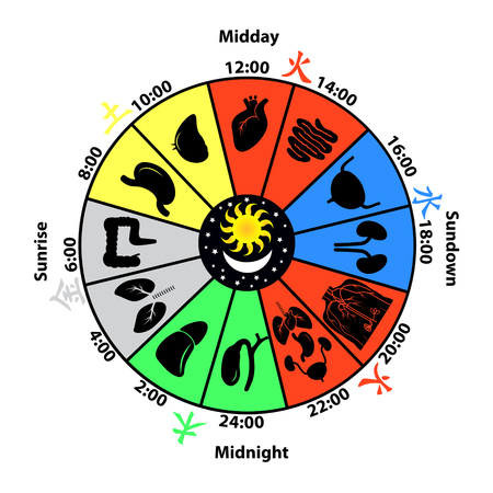 Emotional Bonds: Navigating Love, Support, and Sensitivity