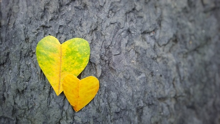 Navigating Long-Term Relationships: Zodiac Strategies for Love That Lasts